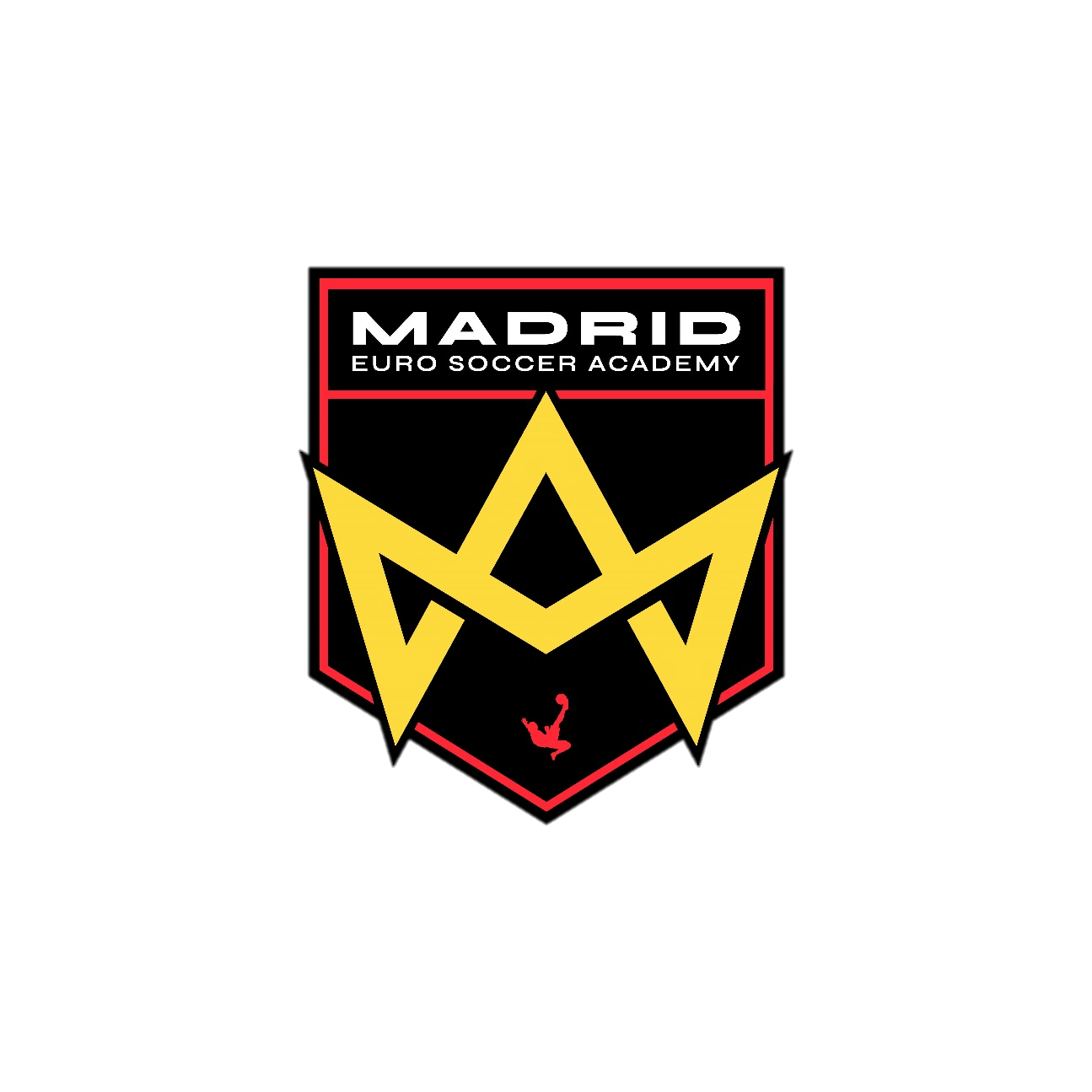 Madrid Euro Soccer Academy