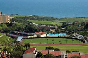 soccer field