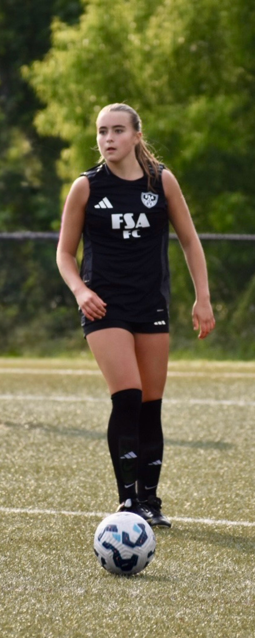 Taylor Schreibman