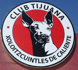 Club Tijuana, Xolos, Copa Libertadores