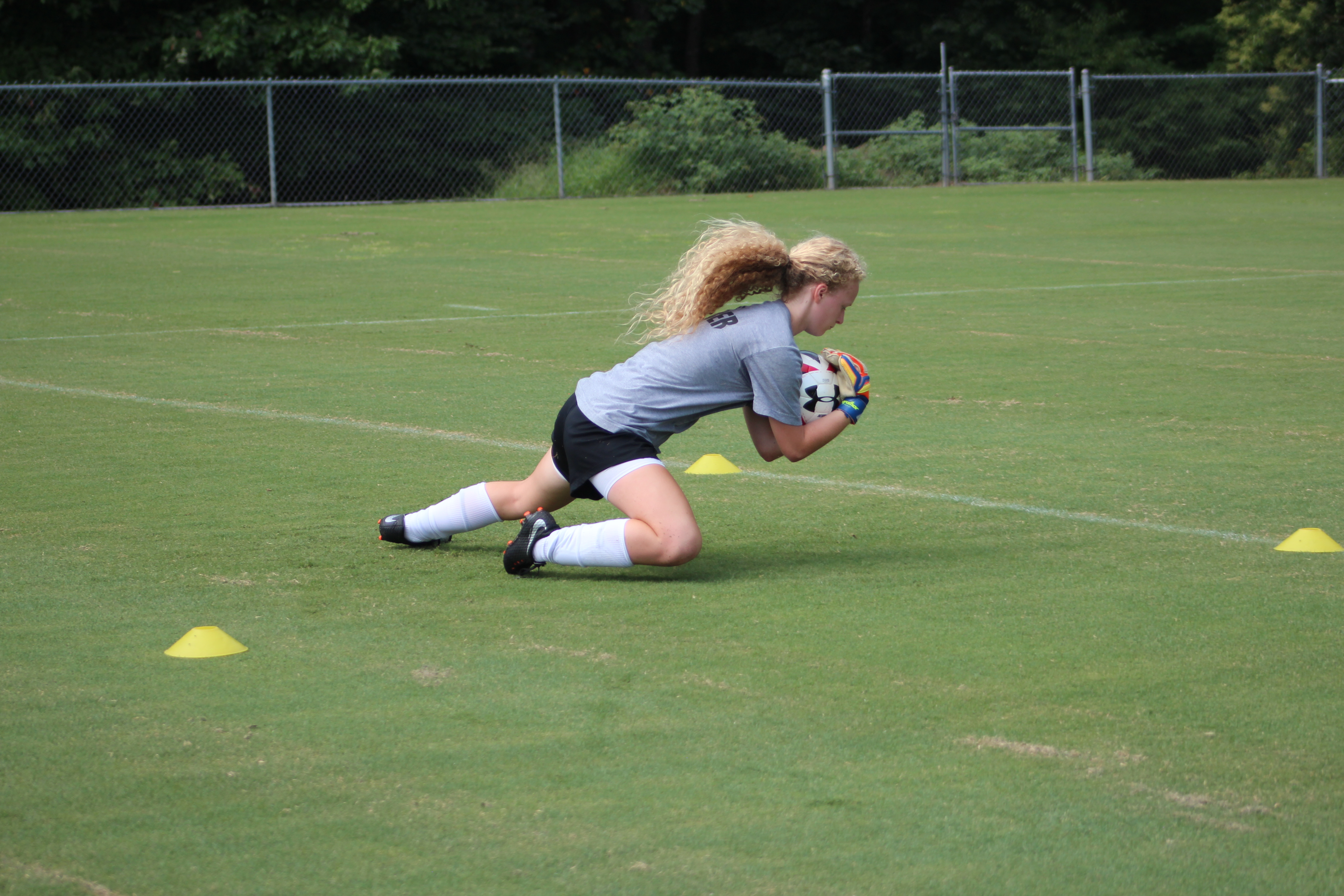 2017 TDS Raleigh Showcase Photo Gallery