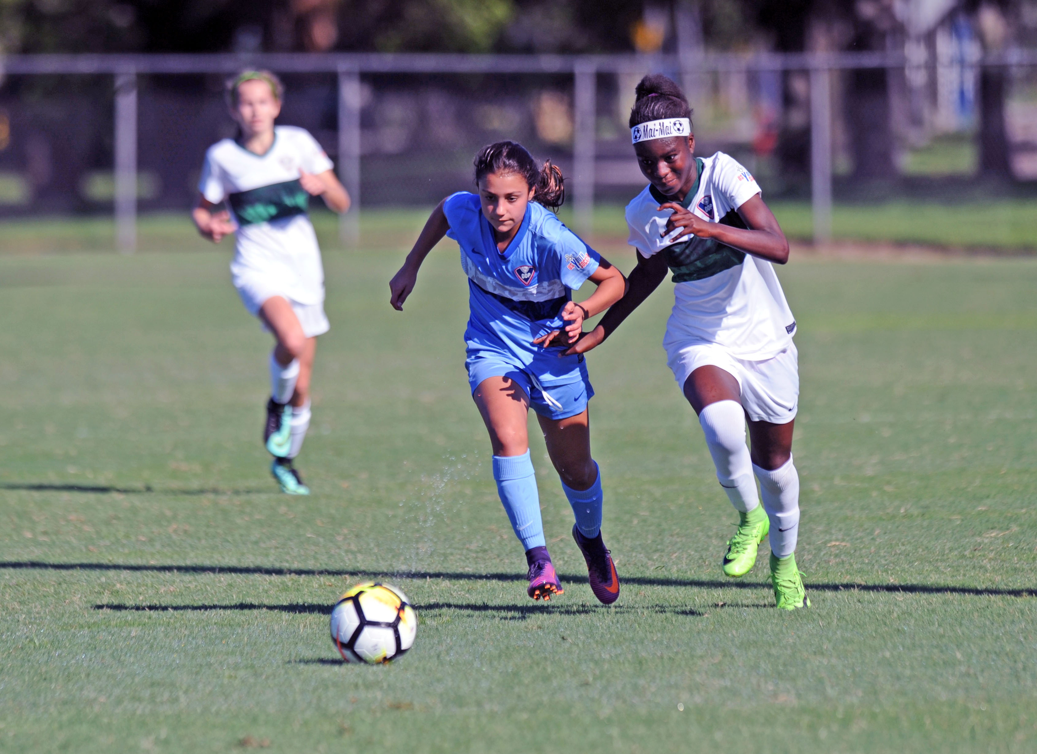 Florida ODP Interregional