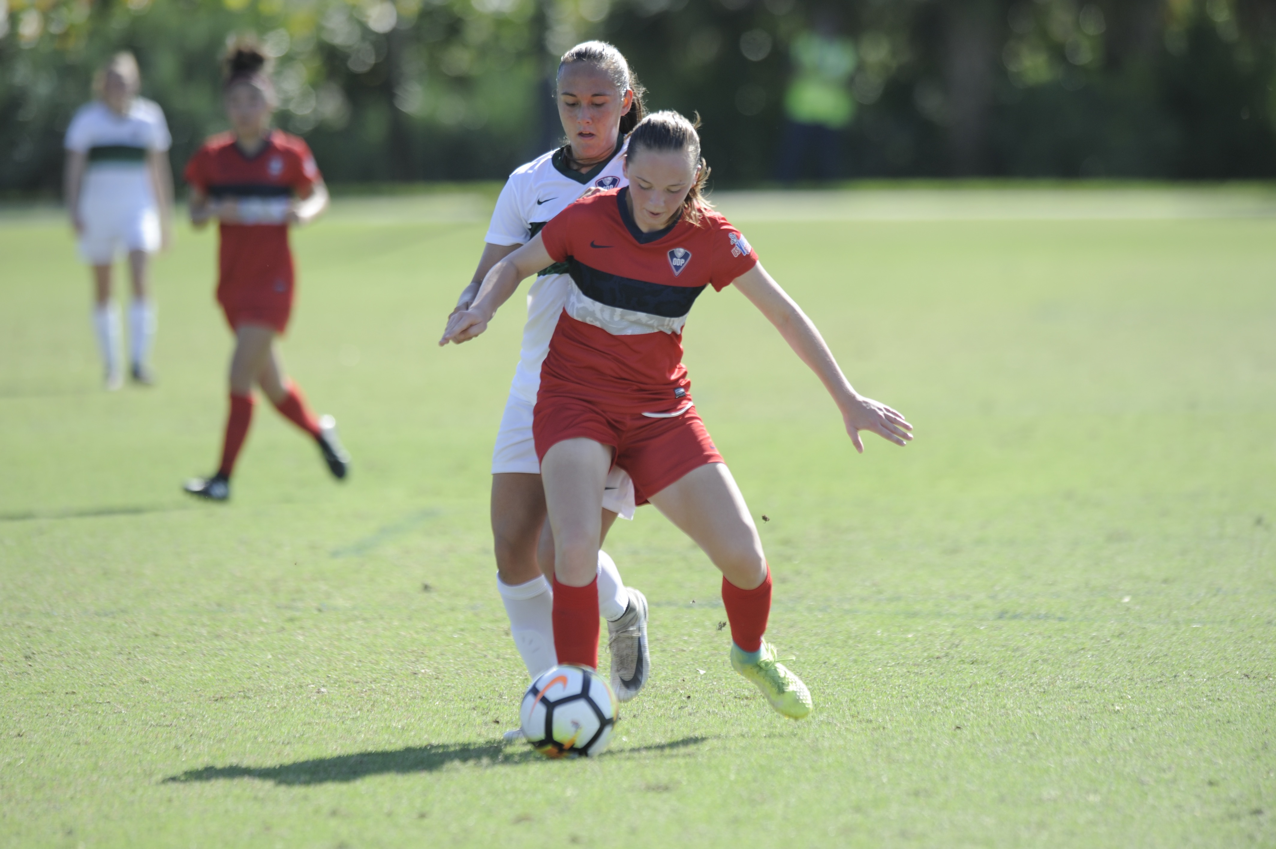 Florida ODP Interregional