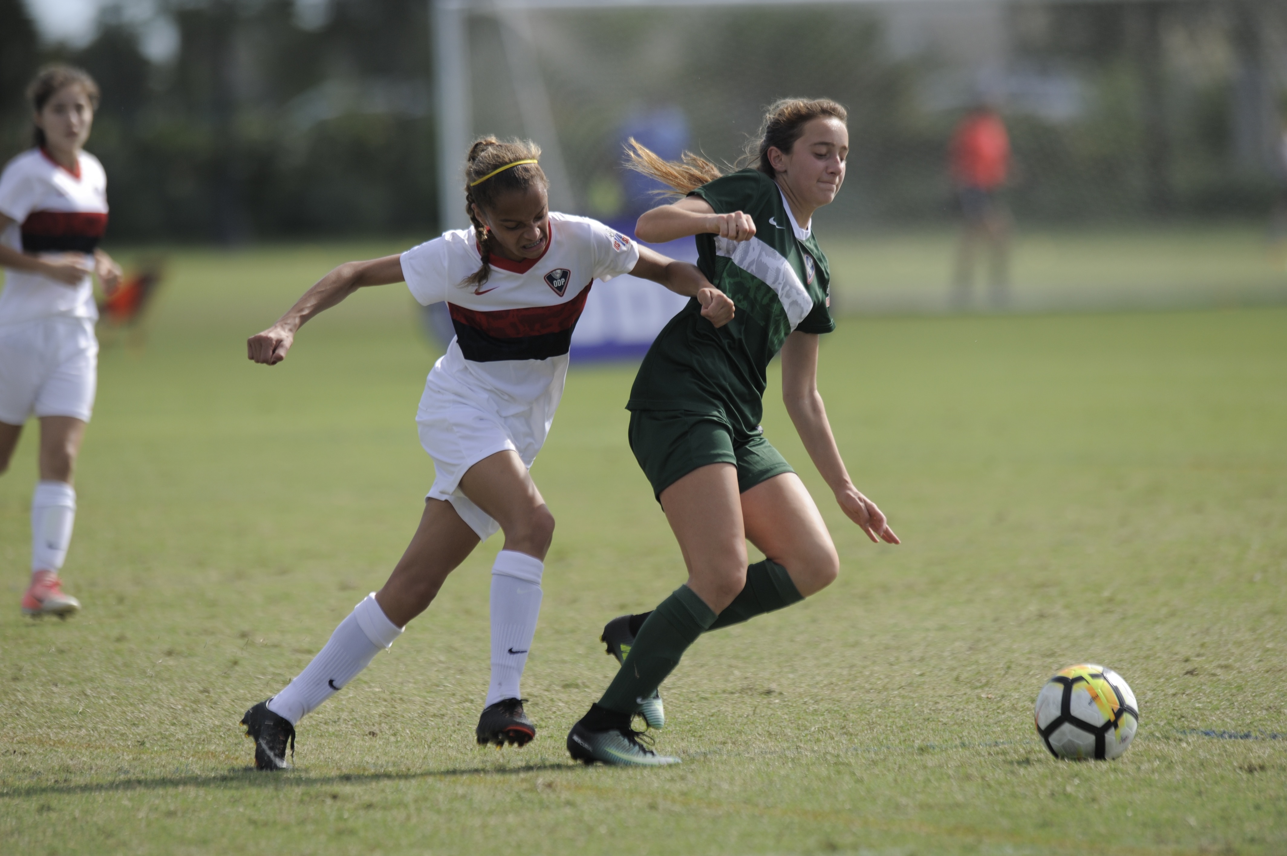 Florida ODP Interregional