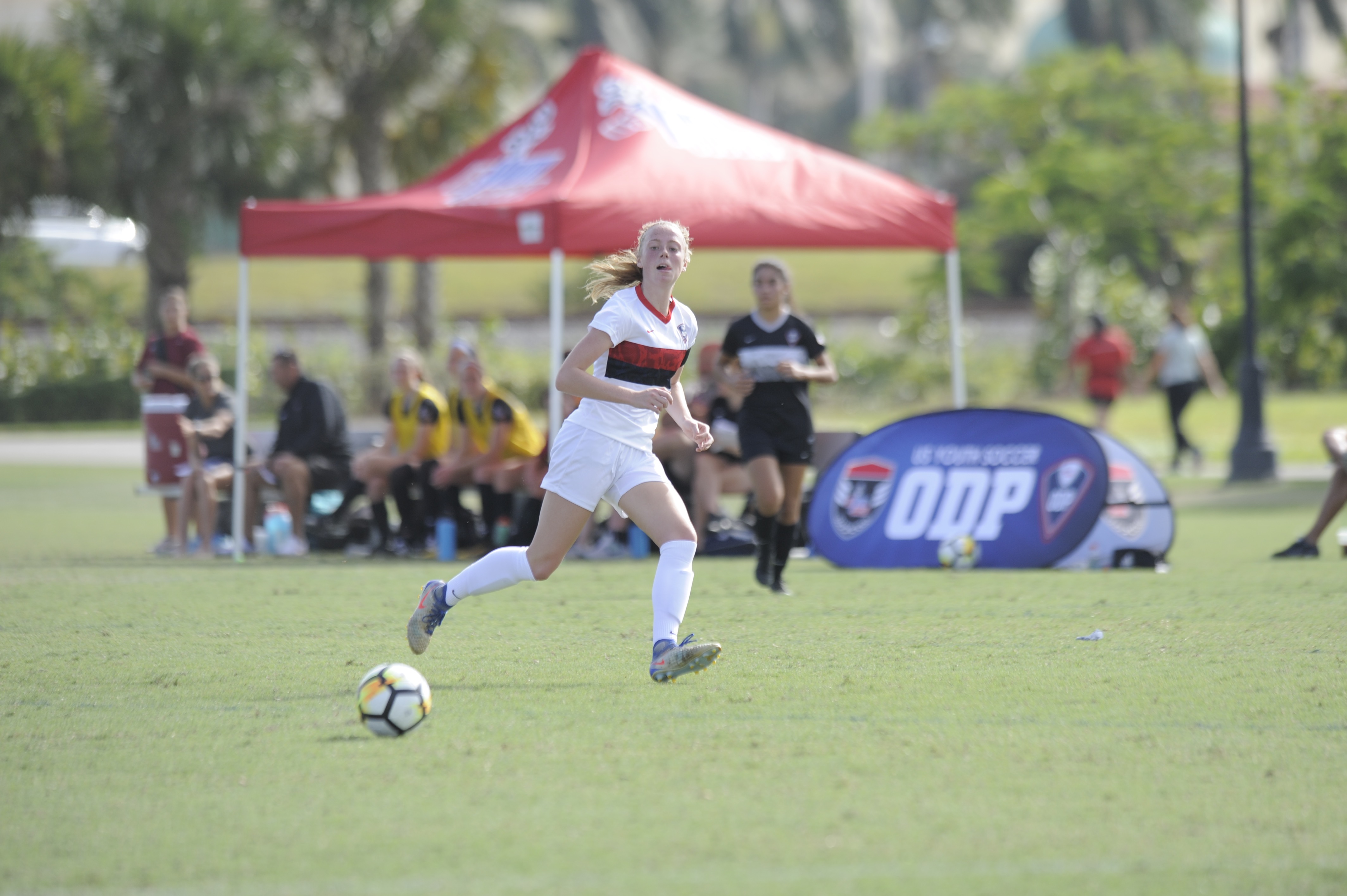 Florida ODP Interregional