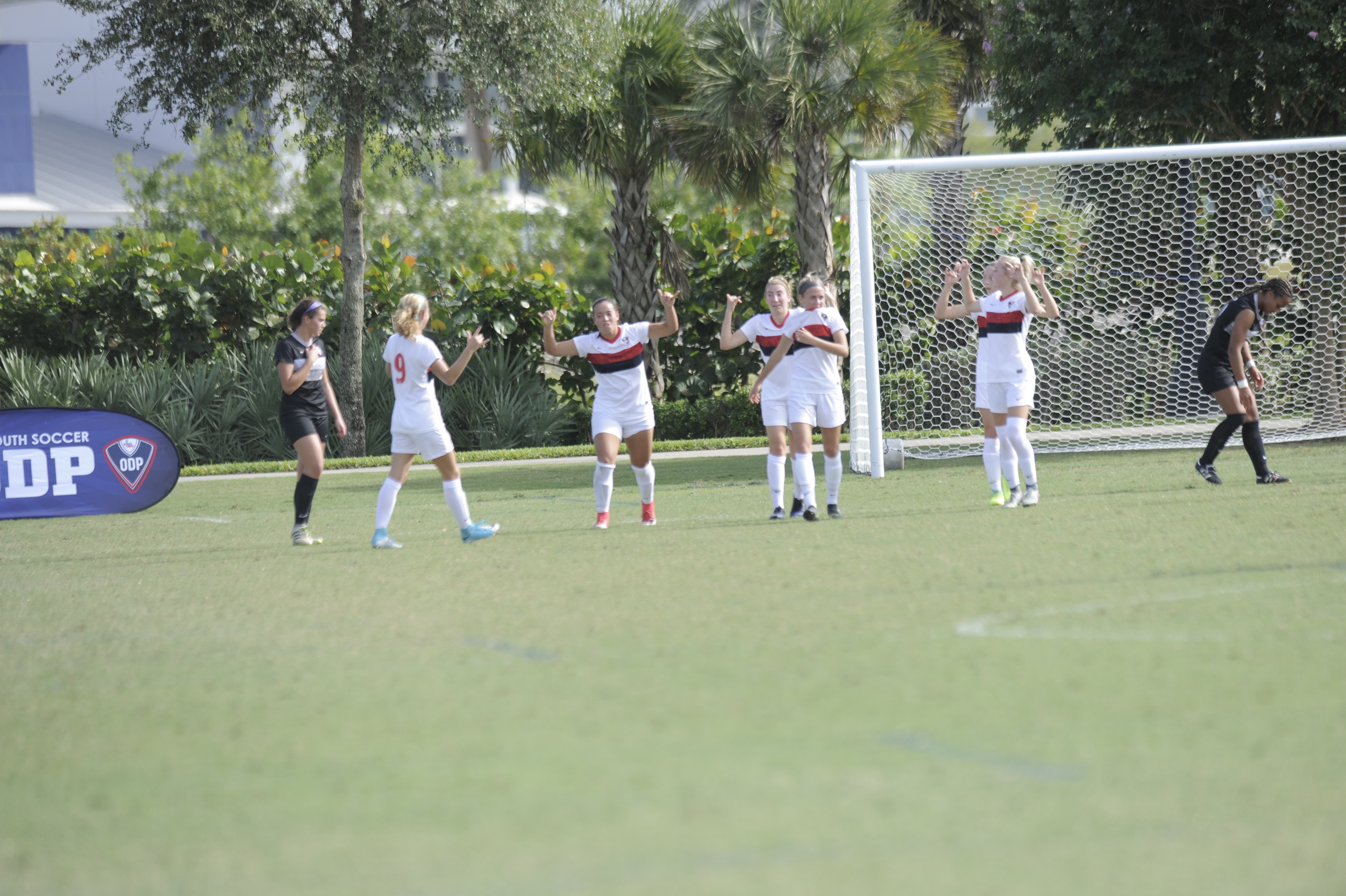 Florida ODP Interregional