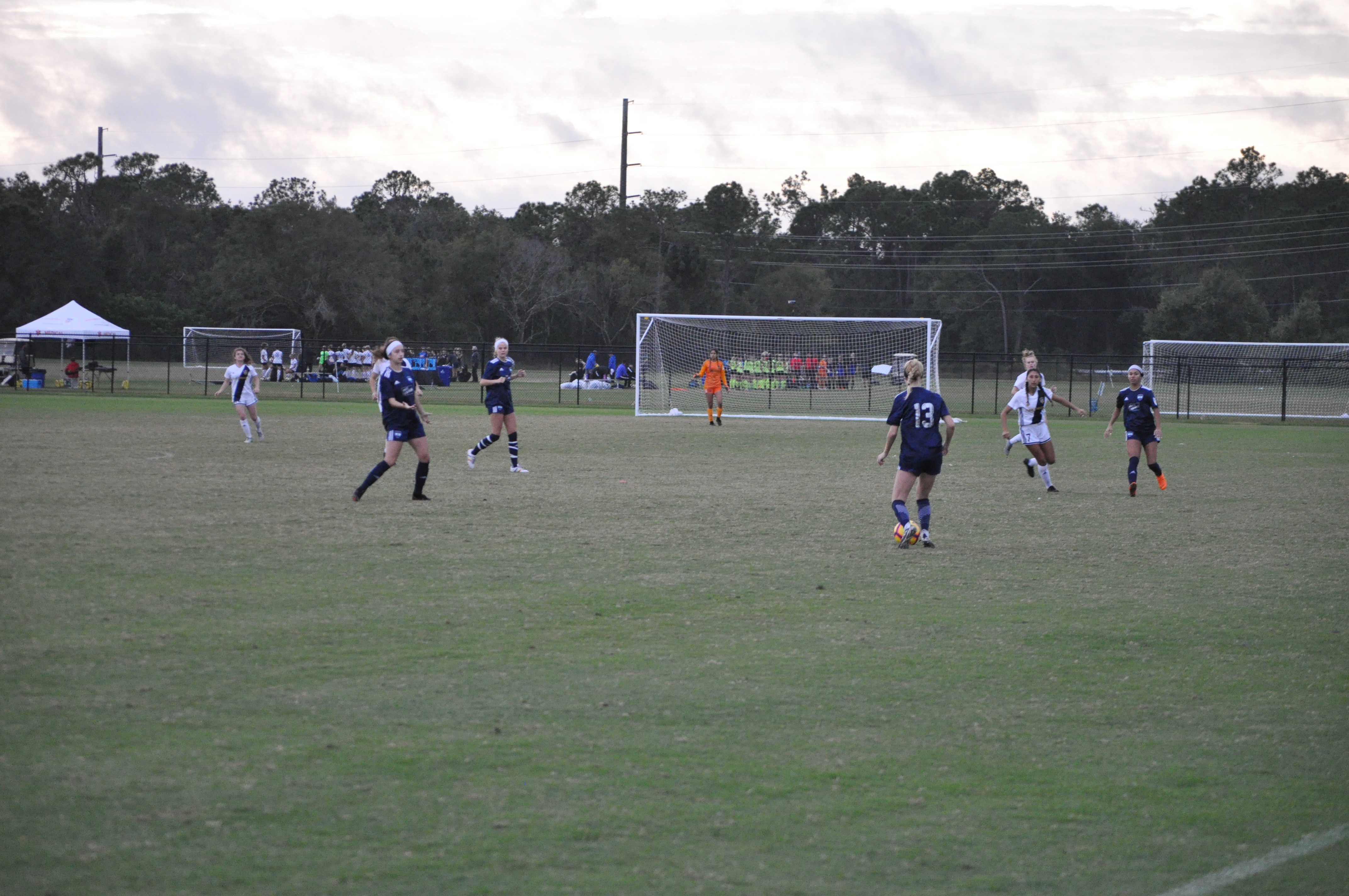 2018 Girls DA Winter Showcase